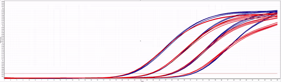 Multiple blue and red S-shaped curves rise from near zero to near one as the x-axis increases, indicating comparative dose–response or growth trends on a grid.