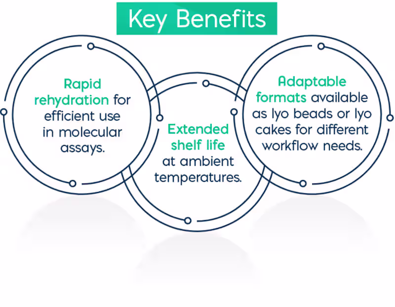 Infographic titled 'Key Benefits' listing three advantages: rapid rehydration for molecular assays, extended shelf life at ambient temperatures, and adaptable formats (lyo beads or lyophilized cakes).
