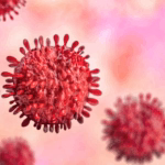 Close-up of a red spherical virus particle with spike-like projections against a pink background.