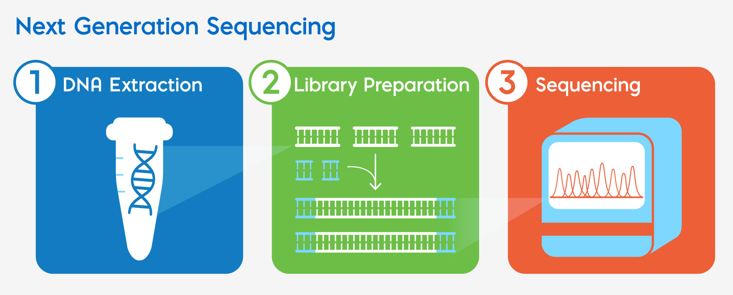 NGS generaldiagram gray scaled