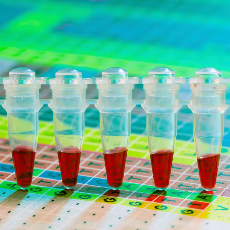 Row of clear blood sample tubes with red liquid held above a colorful, grid-lined lab plate.