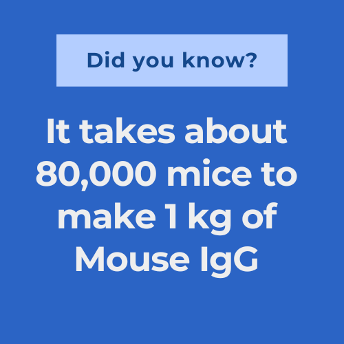 Embracing Ethical Innovation: Breaking New Ground with Animal-Free Immunoassay Blockers