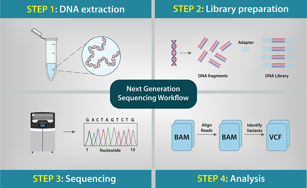 DNA Extraction