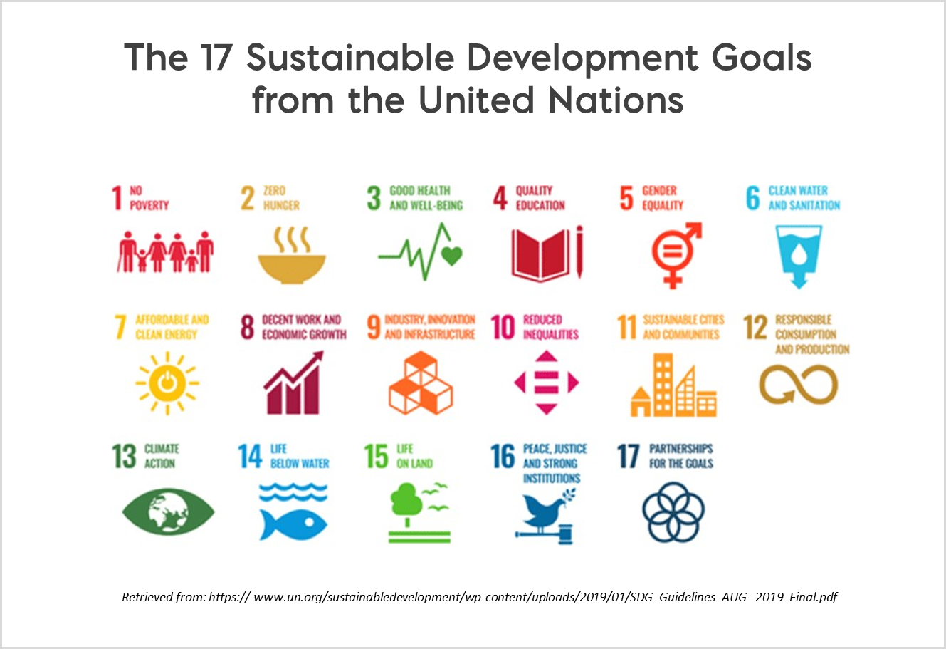 The 17 Sustainable Development Goals
