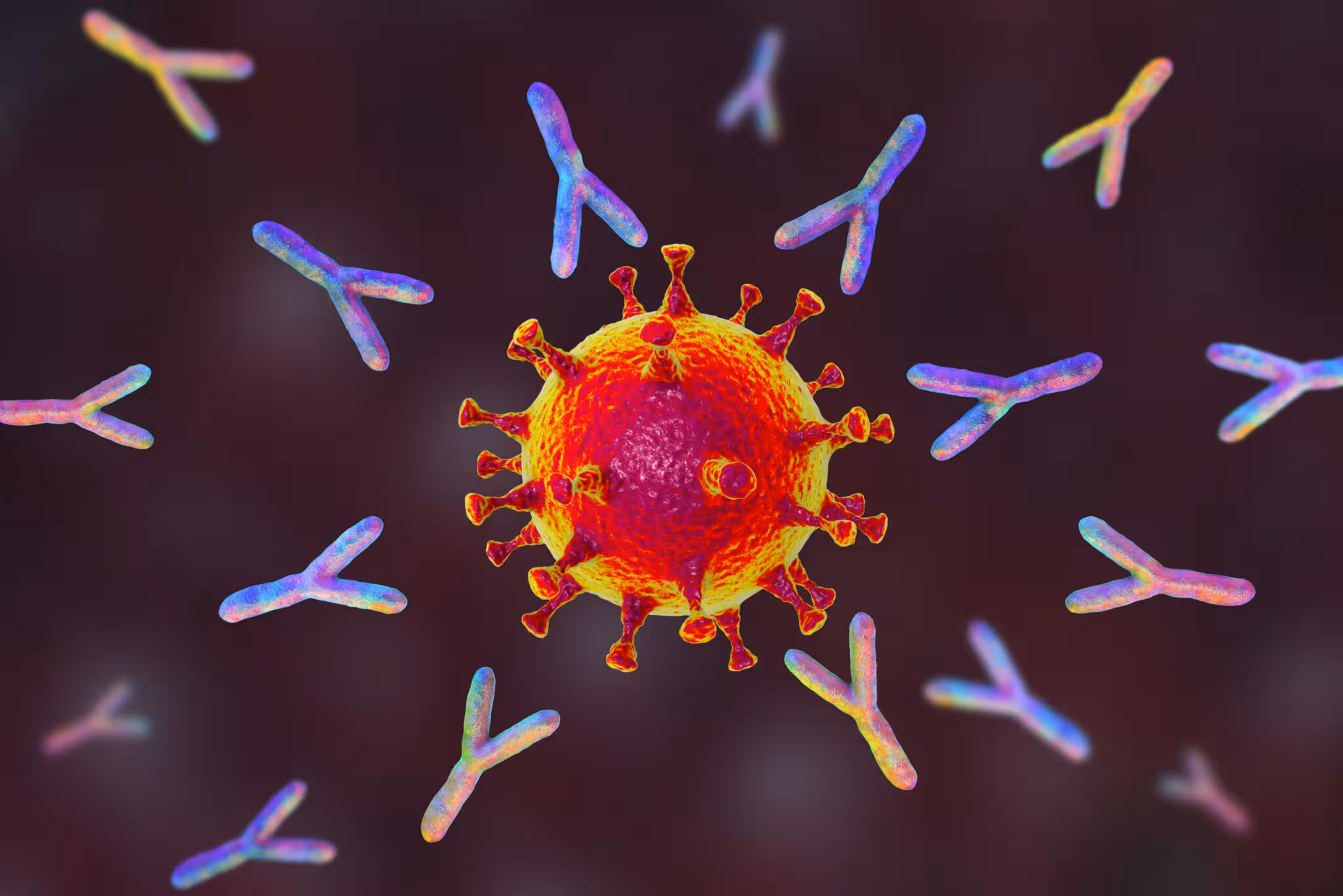 Colorful illustration of a virus particle with spike proteins surrounded by rainbow-colored antibodies.