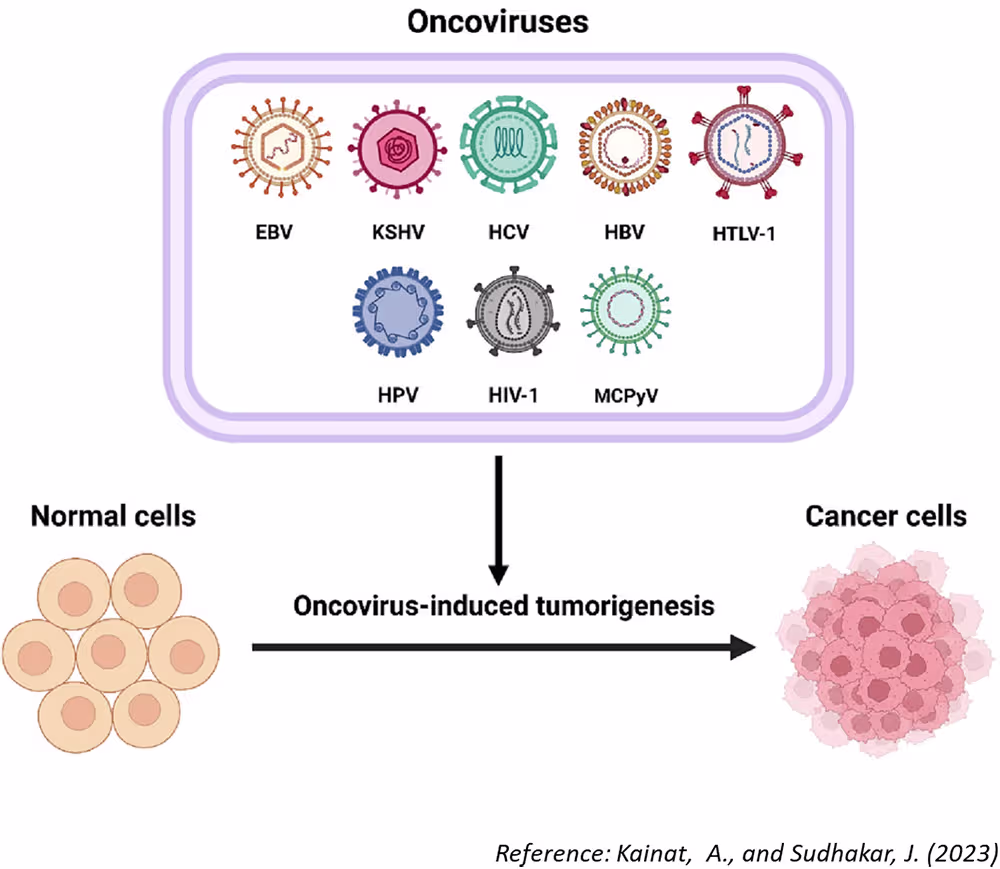 Oncoviruses