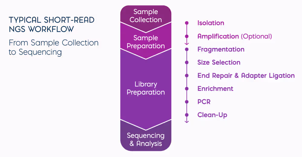 Infographic of a typical short-read NGS workflow from sample collection to sequencing and analysis with listed steps on the side.
